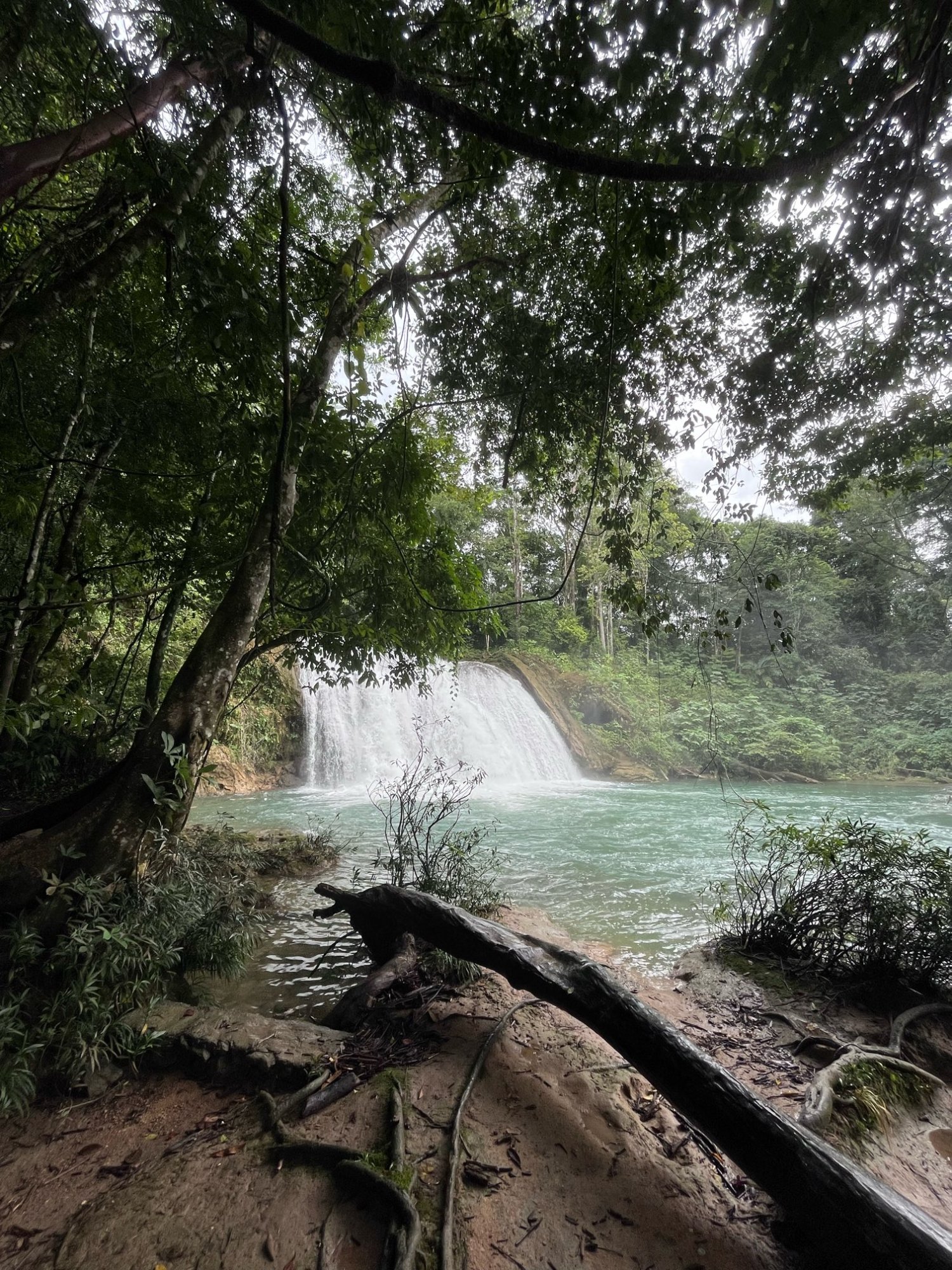 20221014_182950-5463