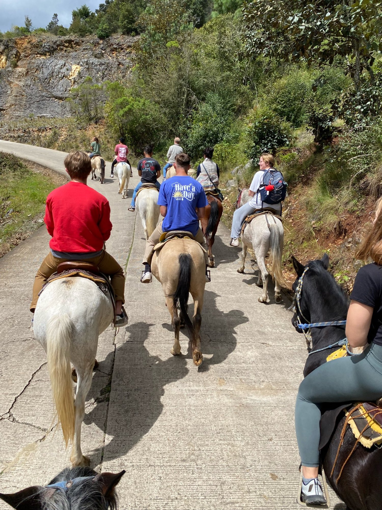 20221017_080947-2f0d