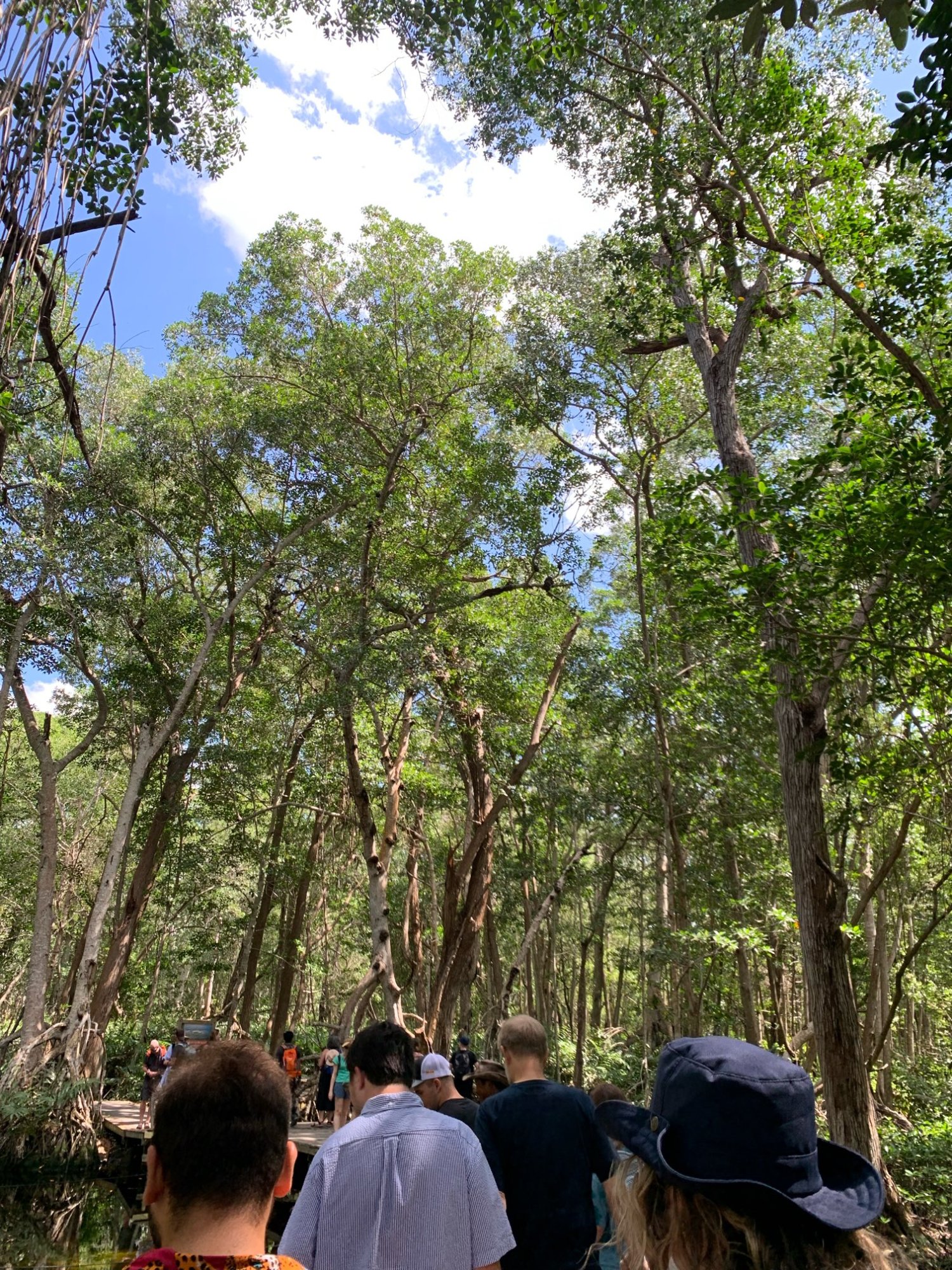 20230226_084708-34b3