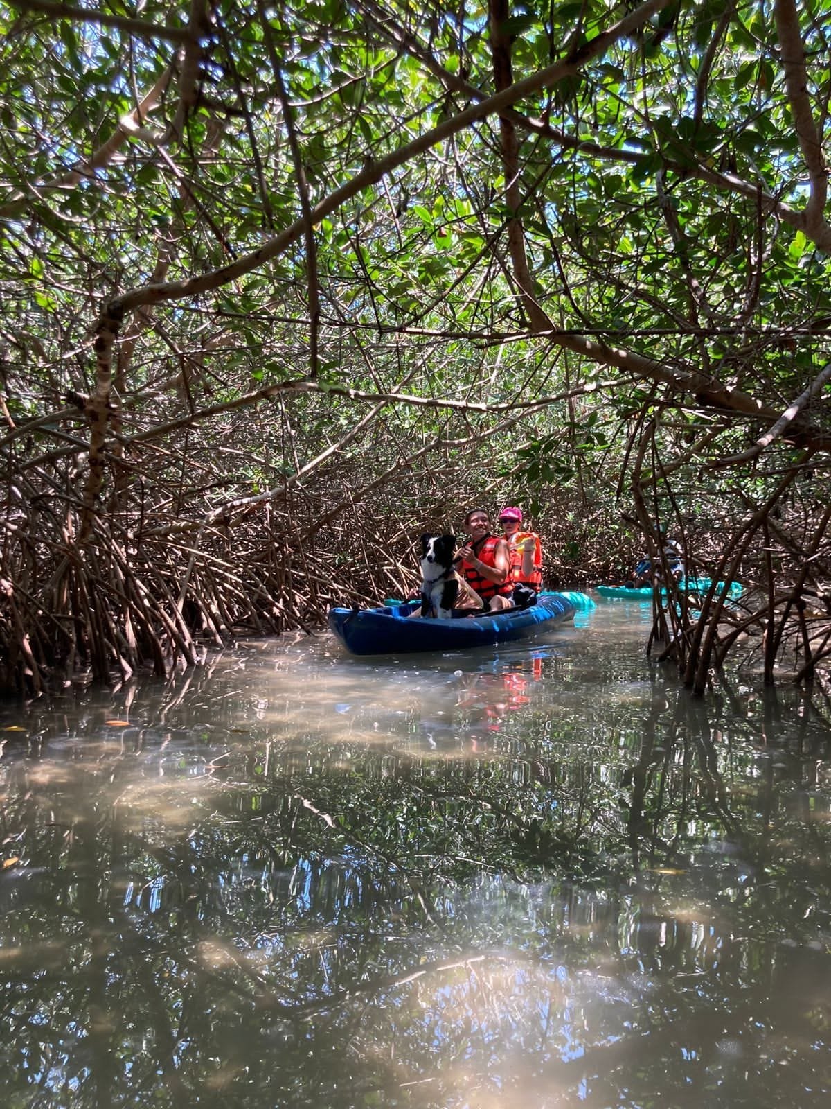 WhatsApp Image 2023-05-04 at 8.29.12 PM (3)