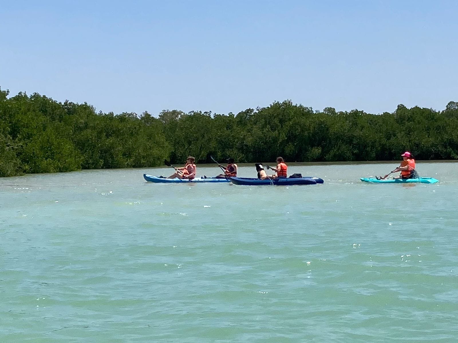 WhatsApp Image 2023-05-04 at 8.29.14 PM (1)