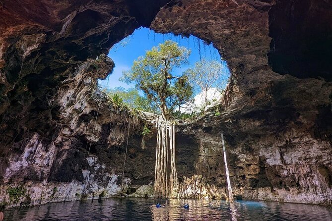 cenote1
