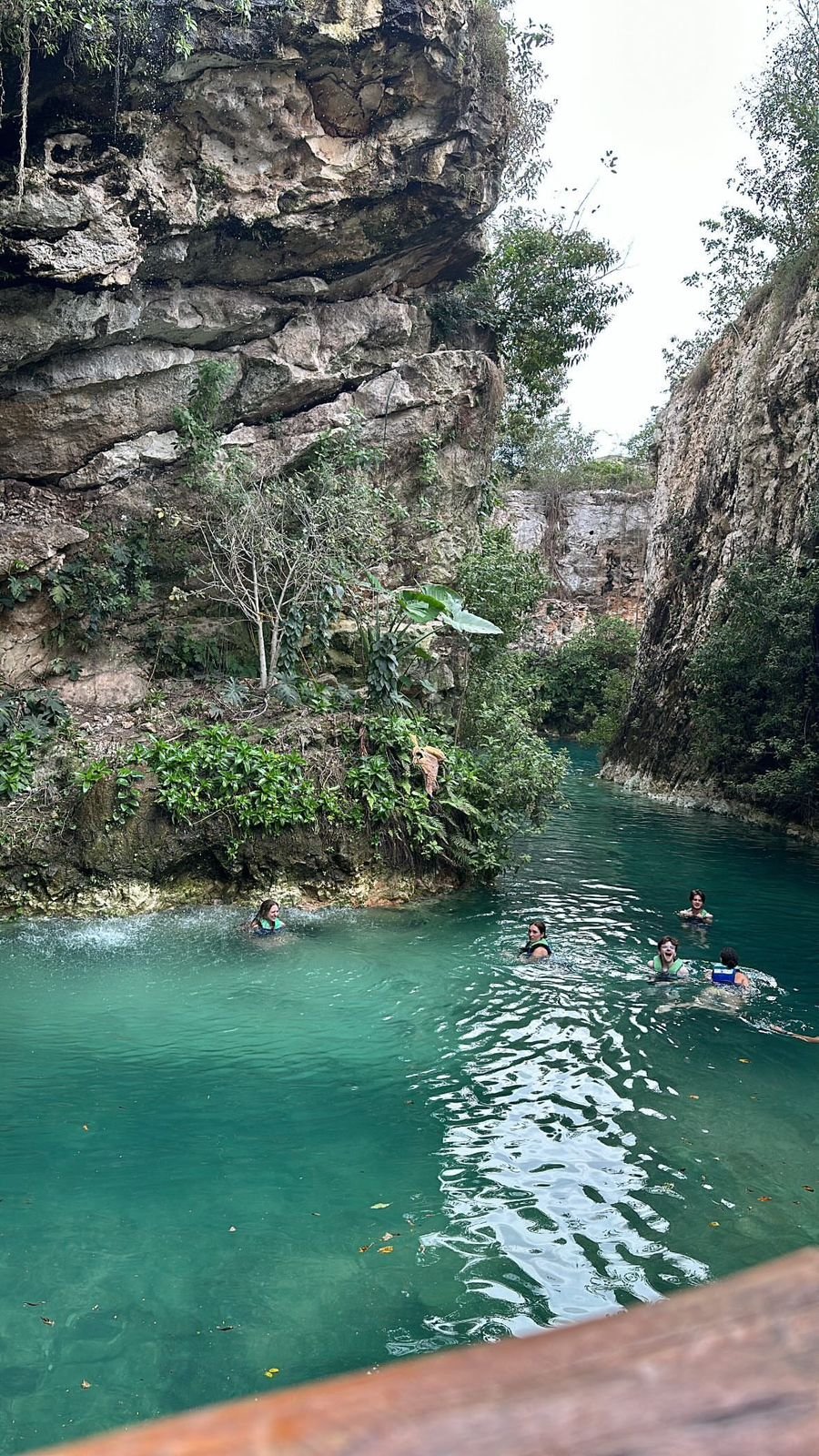 IMG-20240313-WA0021 (1)