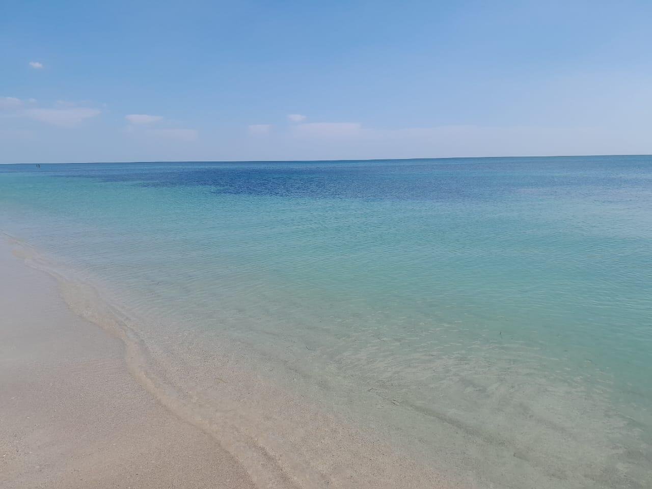 Imagen de WhatsApp 2024-04-09 a las 17.37.38_4abdb552