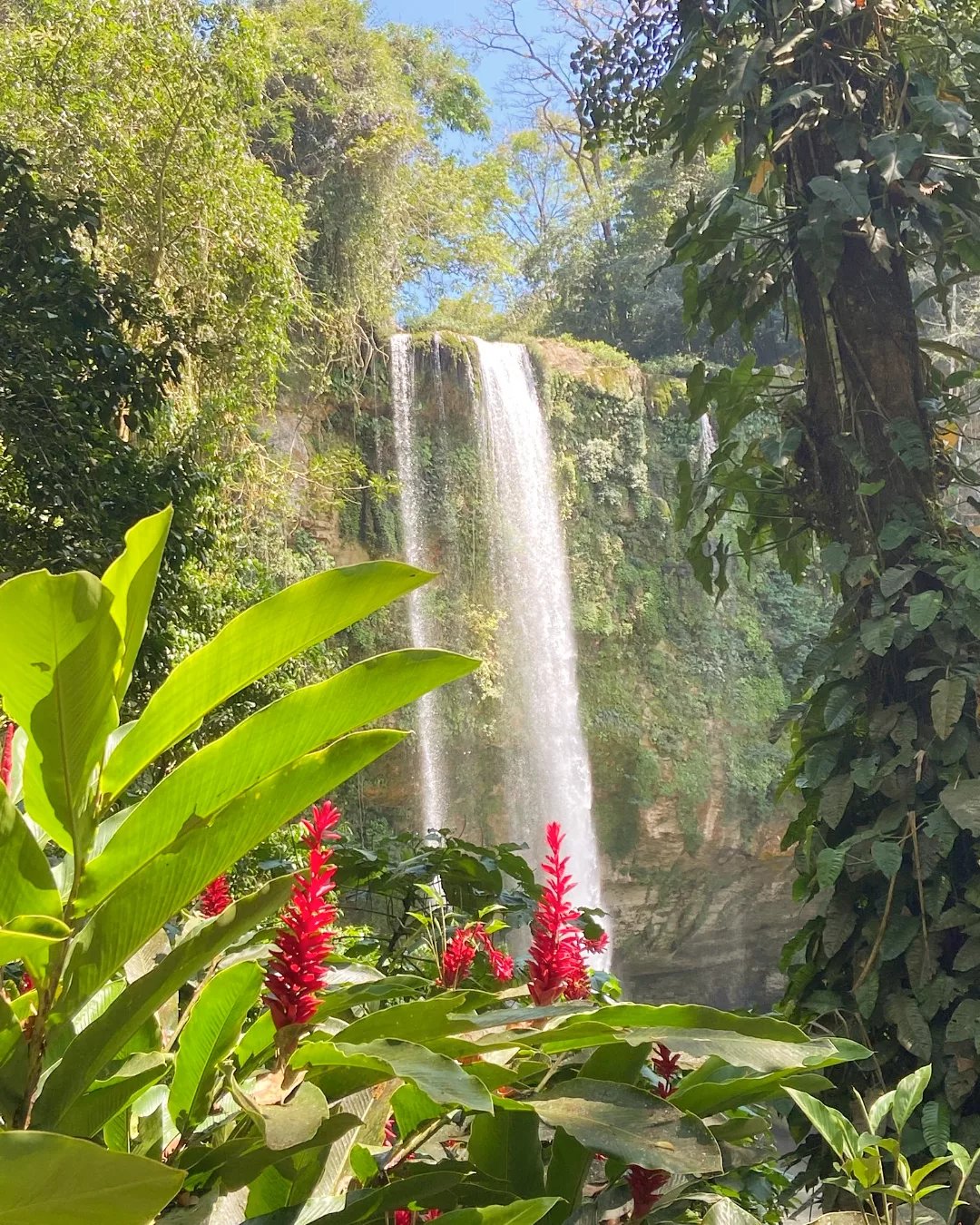 IMG_20230324_171500_840