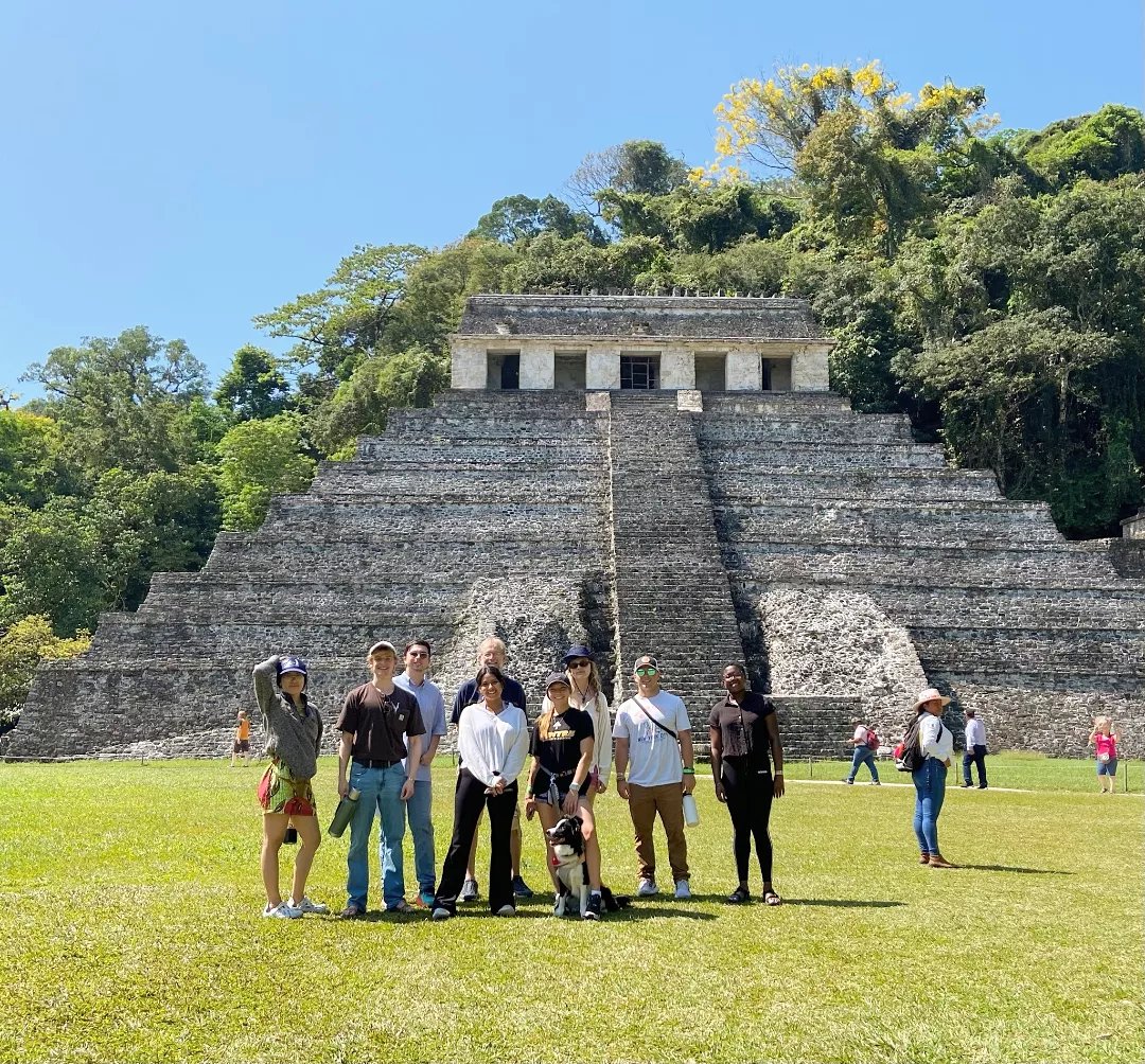 IMG_20230327_115653_928