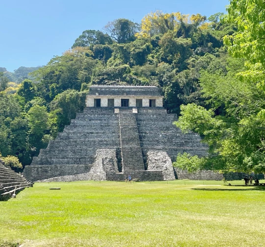 IMG_20230327_115654_348