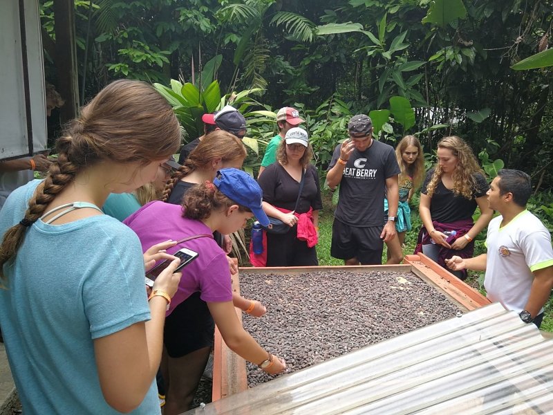 IMG_20191115_134911_opt