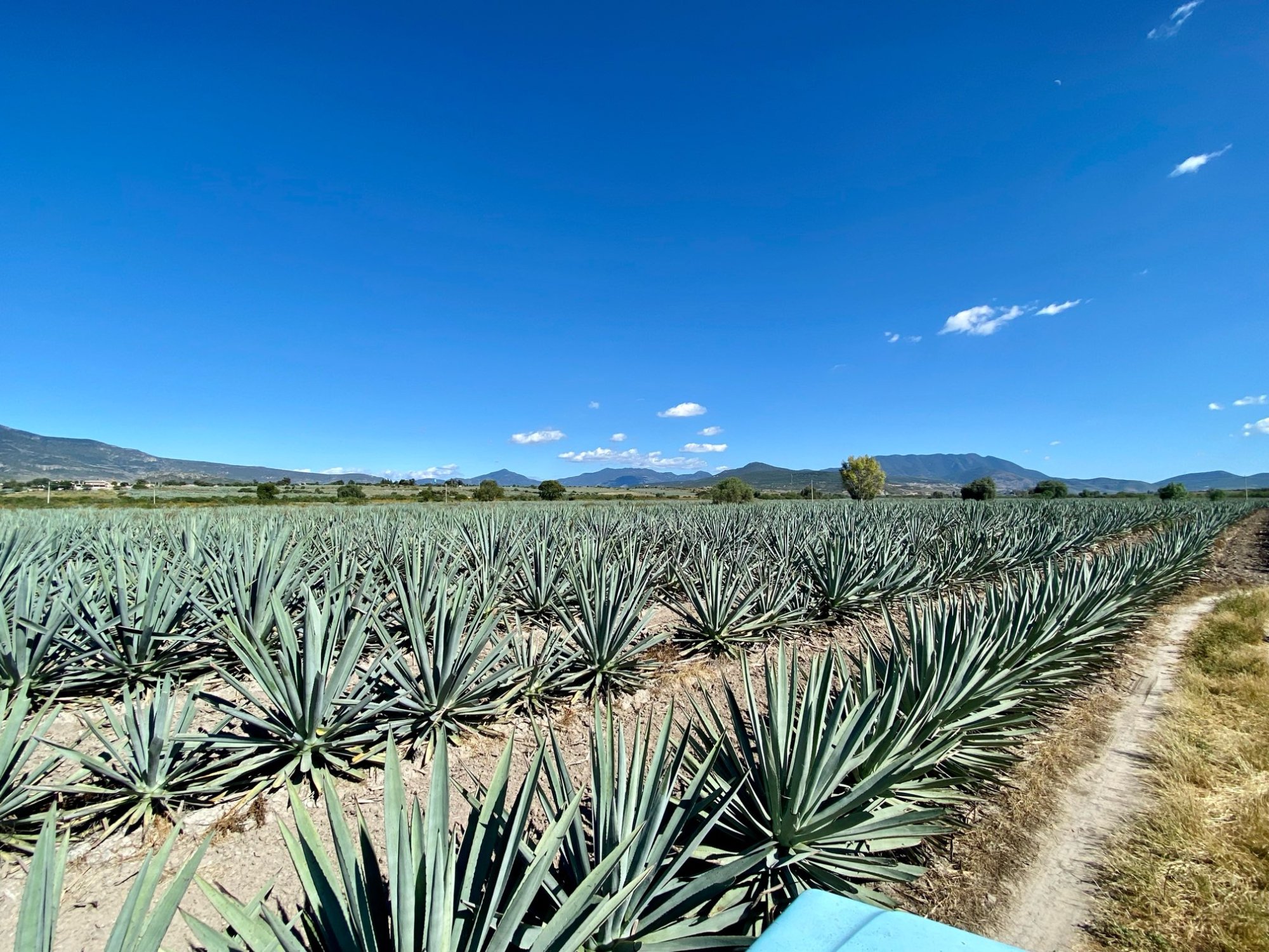 20221030_221423-7011