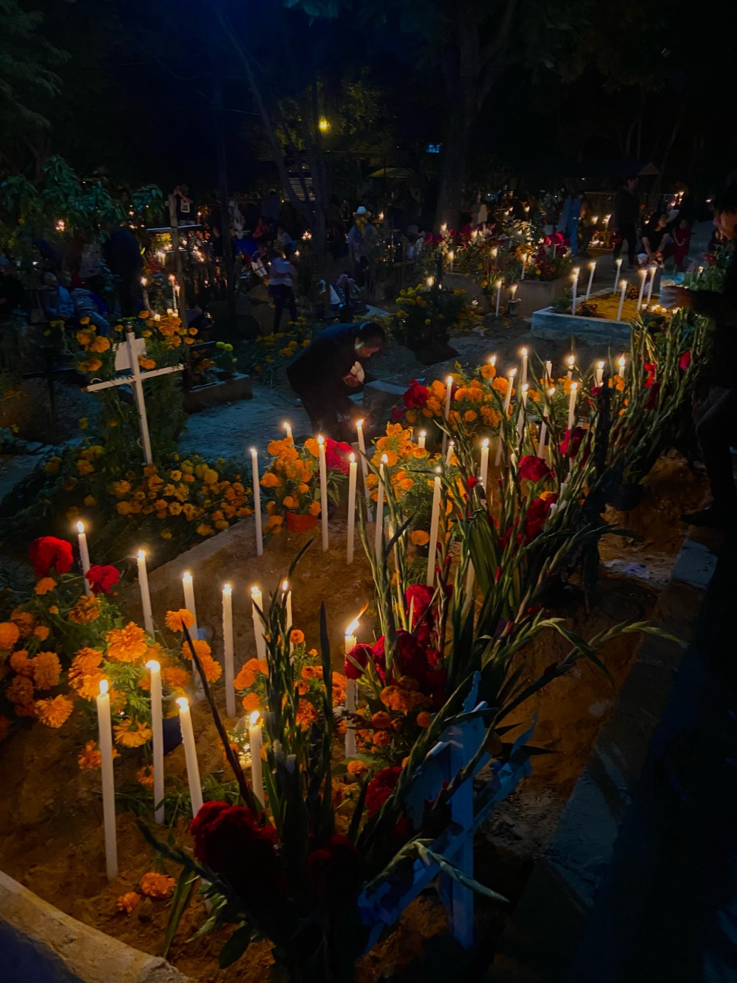 20221101_005647-cb80