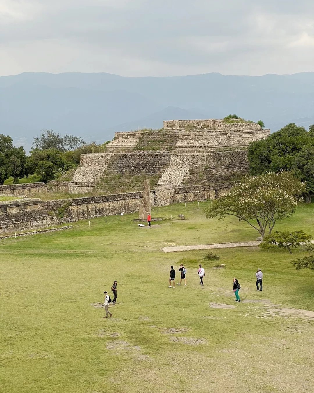 IMG_20221030_190043_504