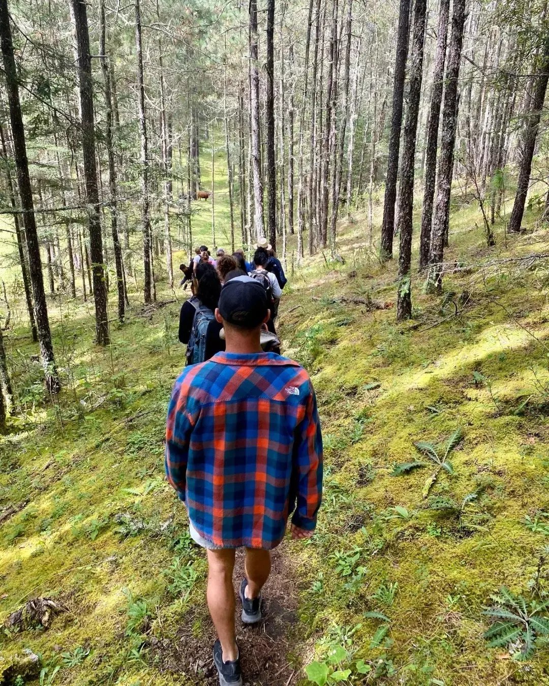 IMG_20221105_220553_268